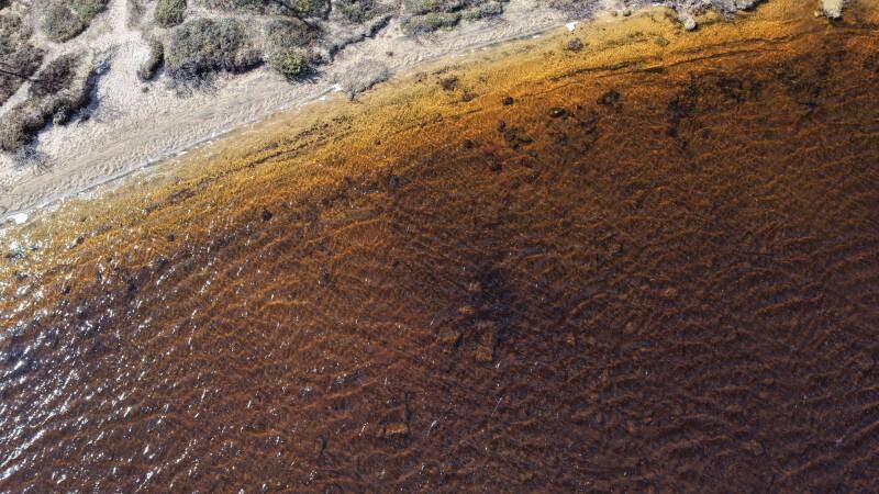 dji_fly_20260527_102826_0801_1779895872088_photo-standard.jpg