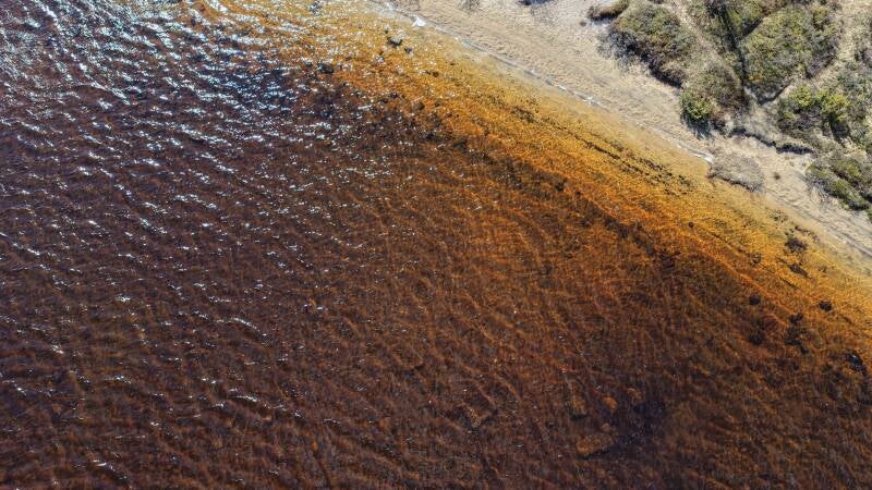 dji_fly_20260527_102830_0802_1779895871708_photo-standard.jpg