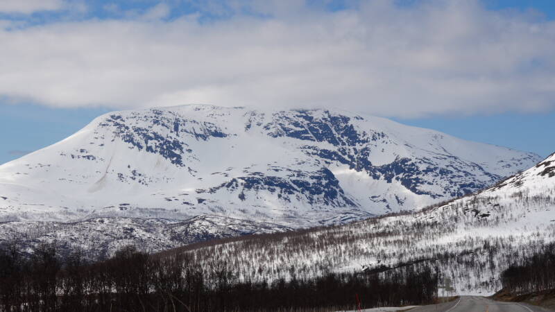 dsc00006-standard.jpg