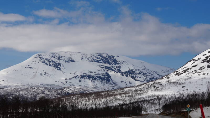 dsc00008-standard.jpg