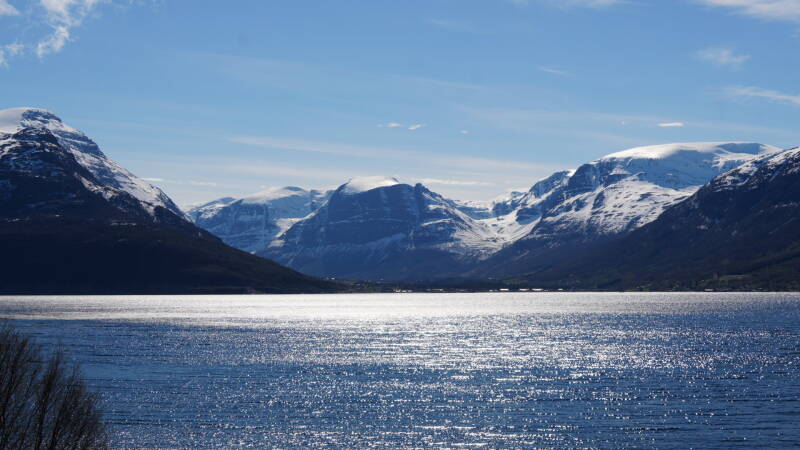 dsc00011-standard.jpg