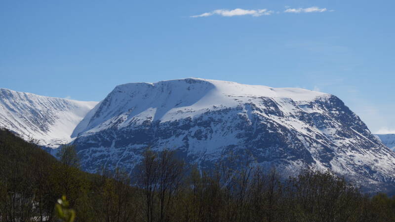 dsc00021-standard.jpg