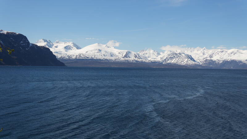 dsc00025-standard.jpg