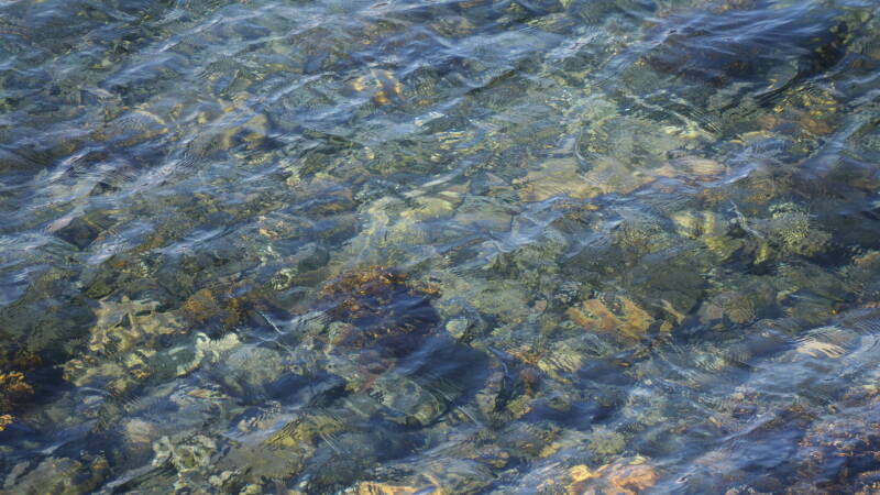 dsc00026-standard.jpg