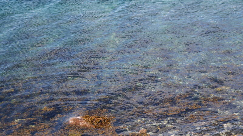 dsc00027-standard.jpg