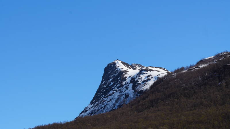 dsc00035-standard.jpg