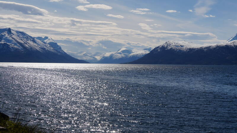 dsc00039-standard.jpg