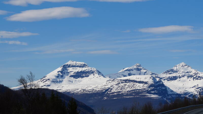 dsc00040-standard.jpg