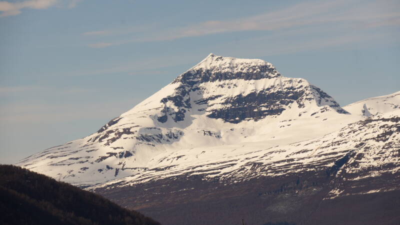 dsc00043-standard.jpg