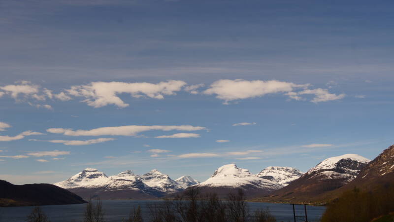dsc00051-standard.jpg