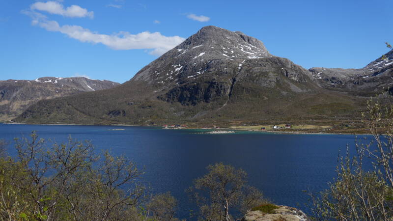 dsc00063-standard.jpg