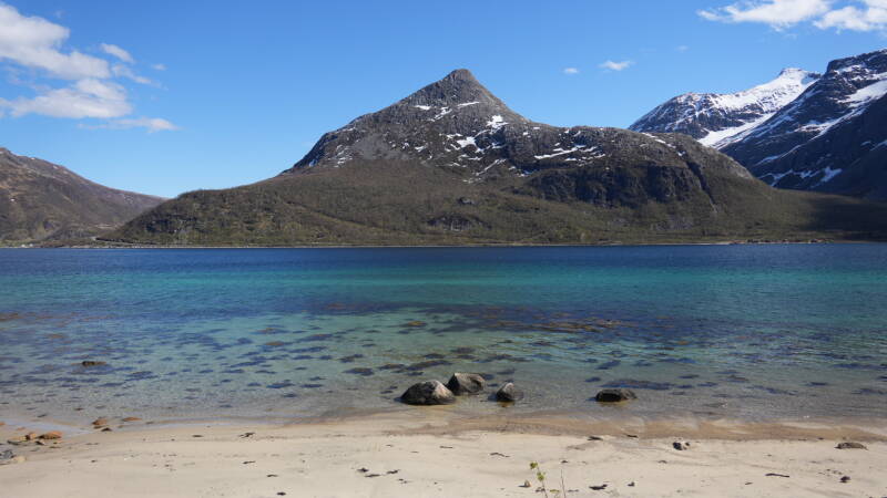 dsc00065-standard.jpg