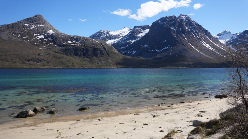 dsc00067-standard.jpg