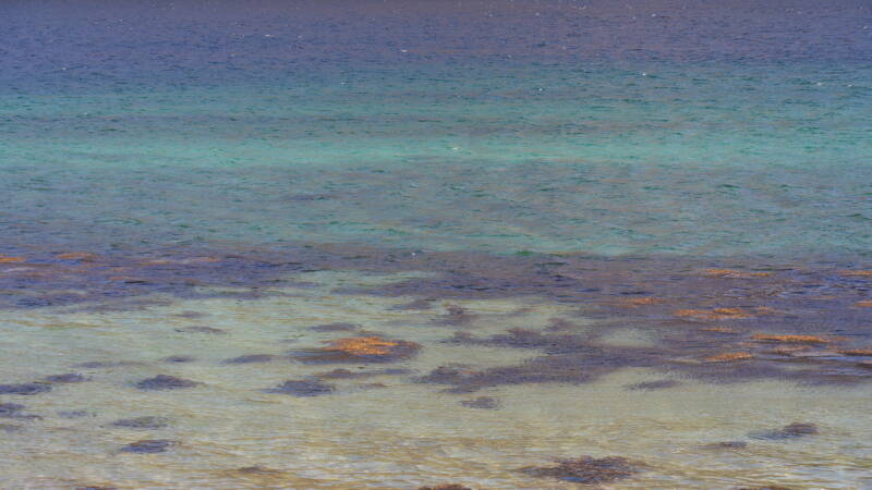 dsc00069-standard.jpg