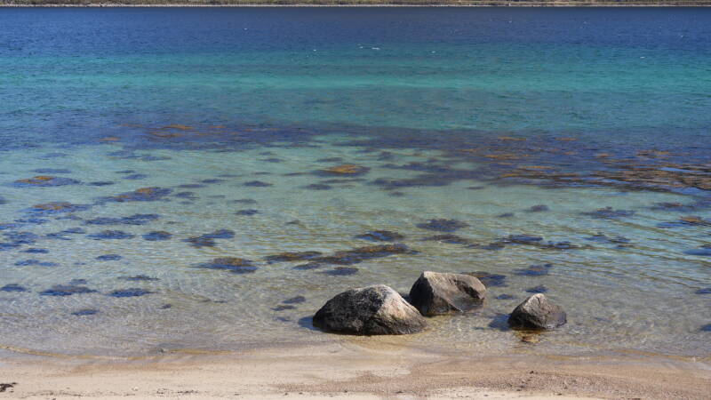 dsc00070-standard.jpg