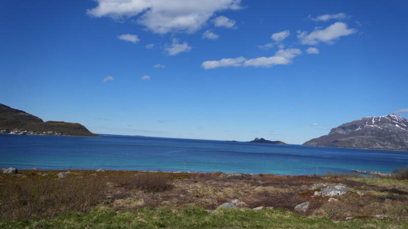 dsc00074-standard.jpg