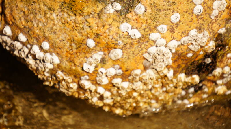 dsc00147-standard.jpg