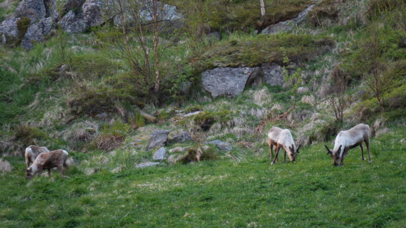dsc00156-standard.jpg