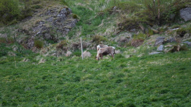 dsc00157-standard.jpg