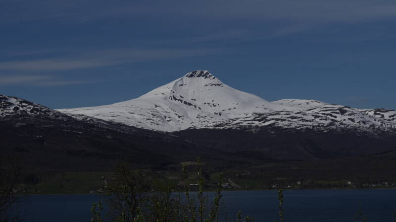dsc00164-standard.jpg