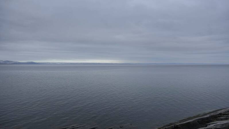 dsc00181-standard.jpg