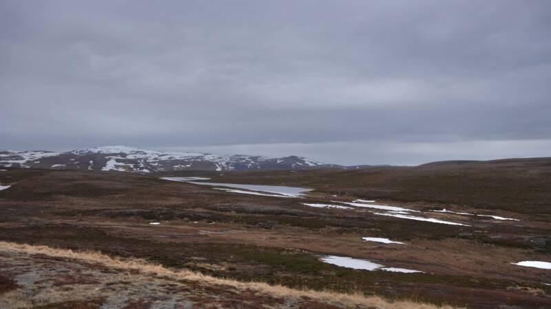 dsc00189-standard.jpg