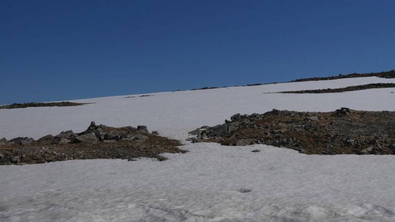 dsc00204-standard.jpg