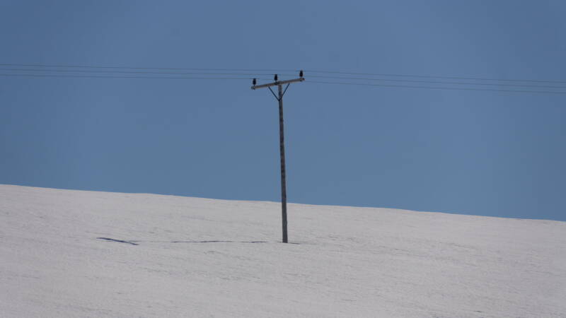 dsc00208-standard.jpg