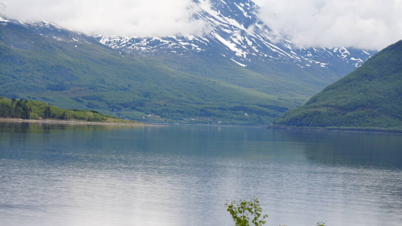 dsc00460-standard.jpg