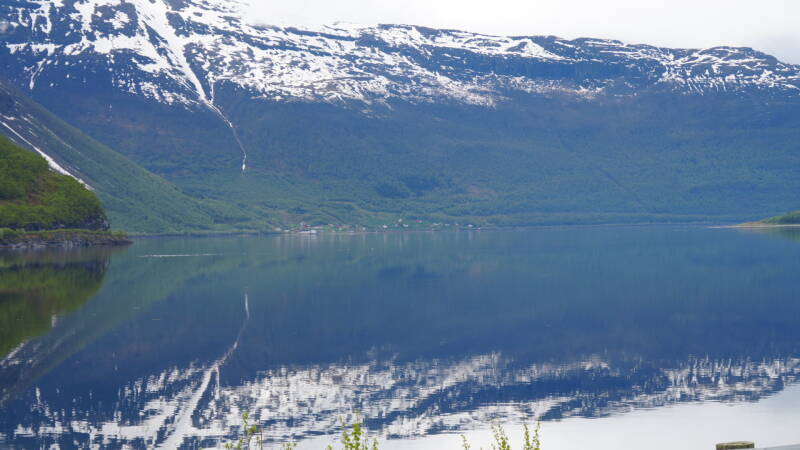 dsc00464-standard.jpg