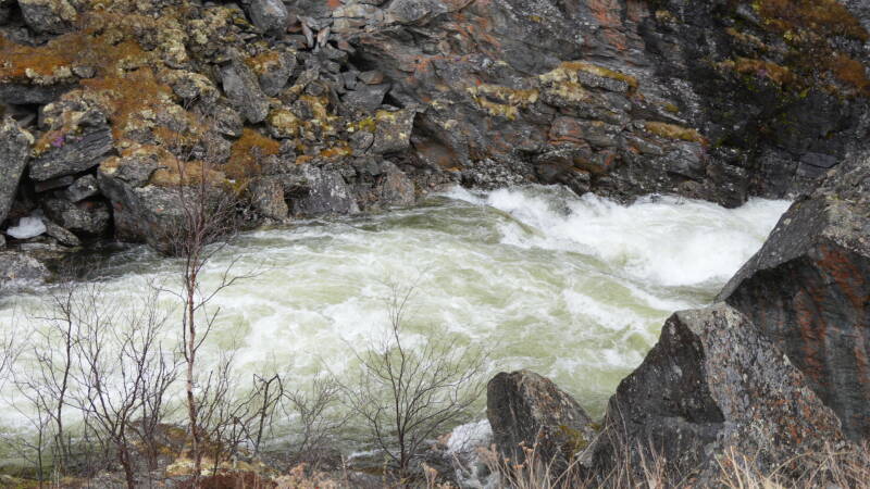 dsc00470-standard-stfobx.jpg