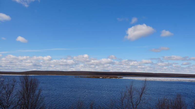 dsc00477-standard.jpg