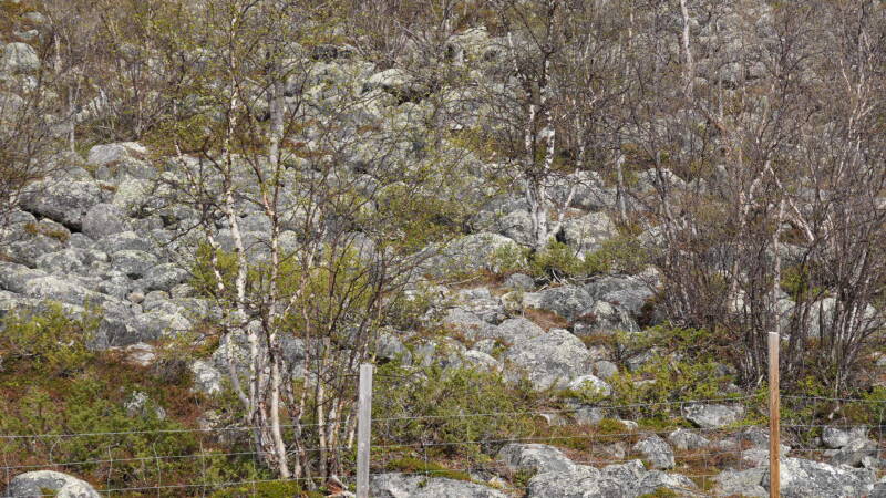 dsc00479-standard-aqubr1.jpg