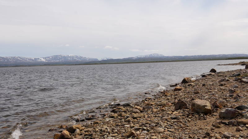 dsc00488-standard.jpg