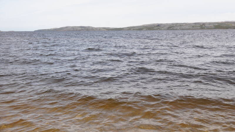 dsc00489-standard.jpg