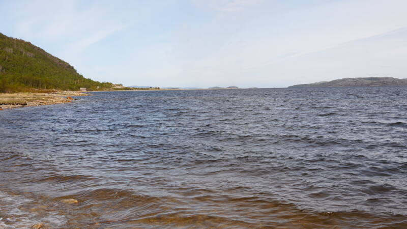 dsc00490-standard.jpg