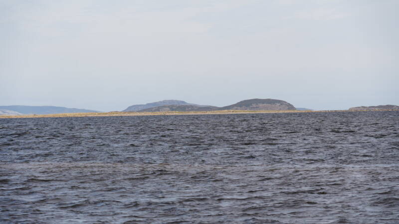dsc00491-standard.jpg
