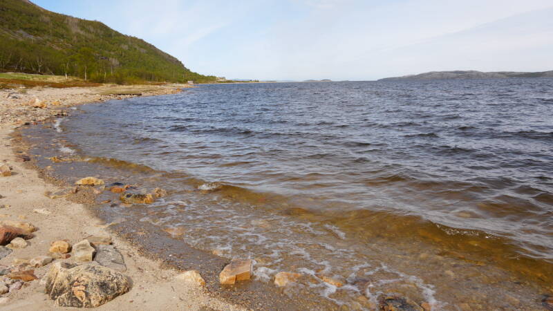 dsc00492-standard.jpg