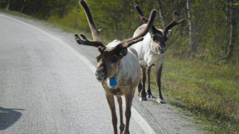 dsc00512-standard.jpg