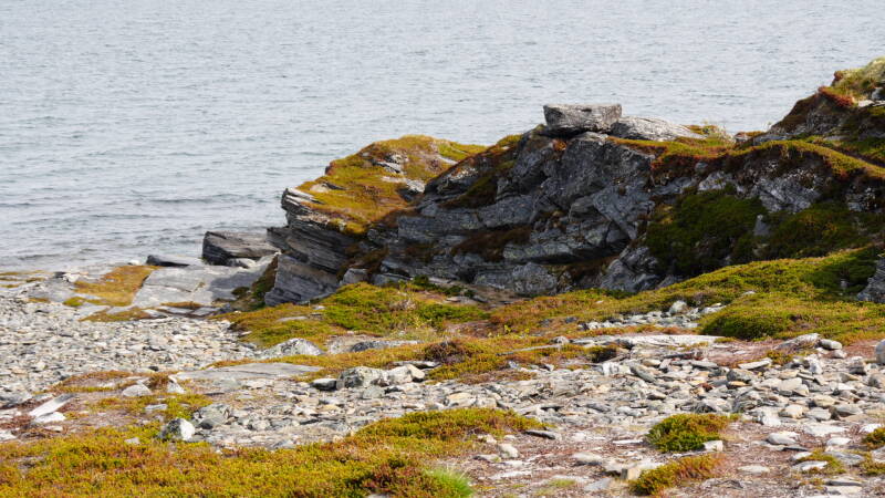 dsc00522-standard.jpg