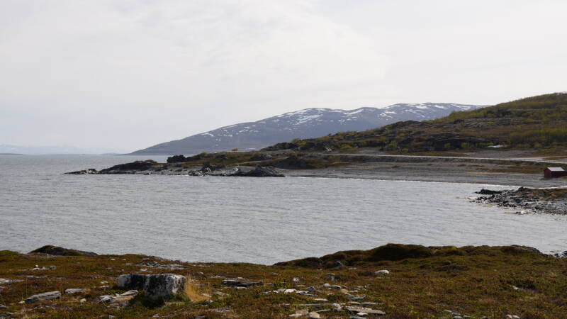 dsc00523-standard.jpg