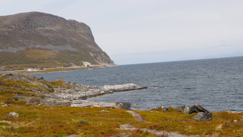 dsc00524-standard.jpg