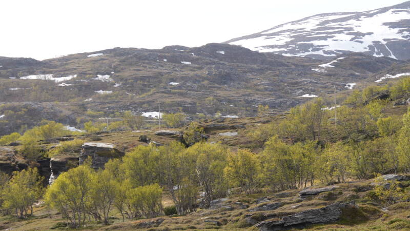 dsc00527-standard.jpg