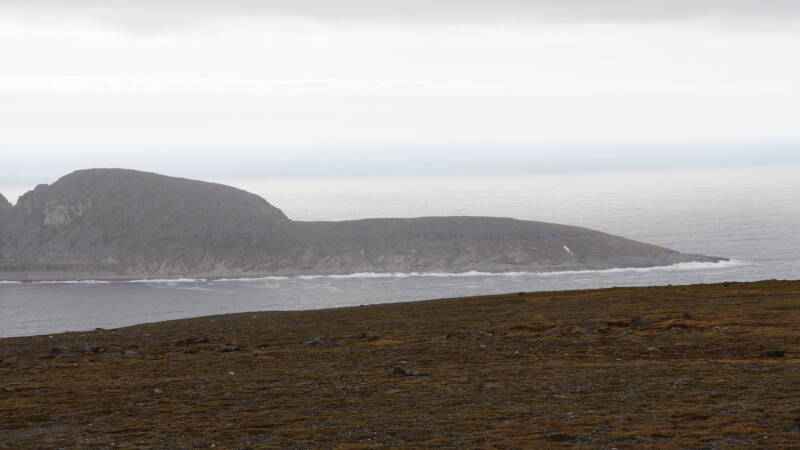 dsc00538-standard.jpg