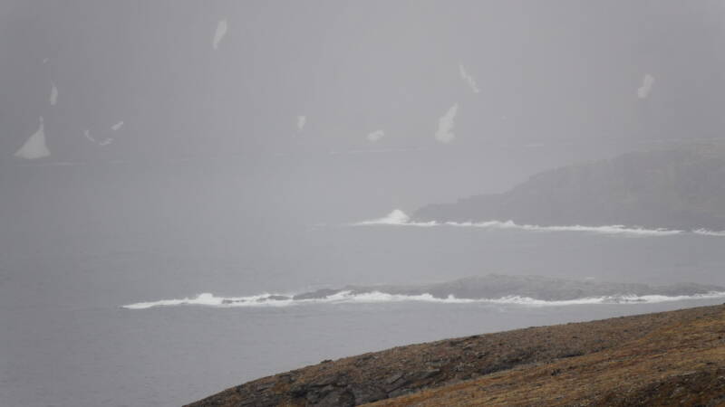 dsc00550-standard.jpg