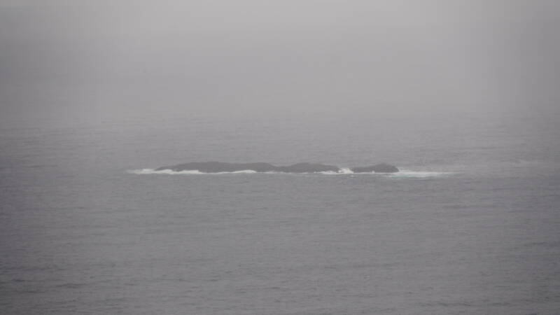 dsc00551-standard.jpg