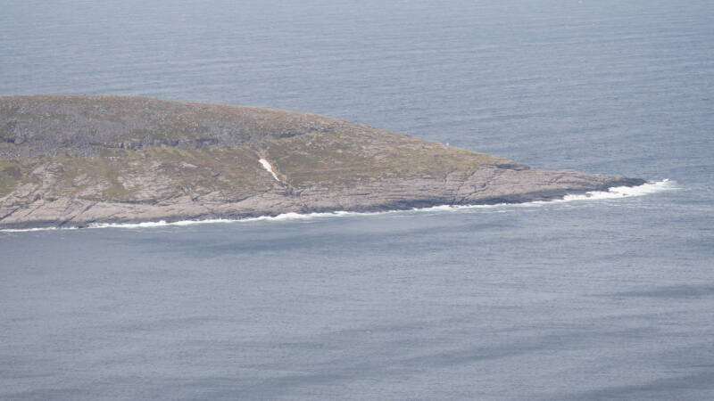 dsc00585-standard.jpg