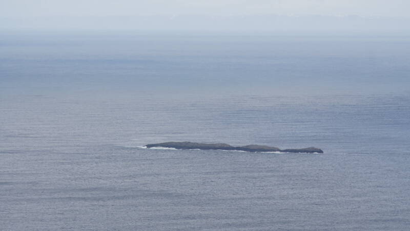 dsc00606-standard.jpg