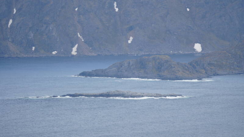 dsc00608-standard.jpg