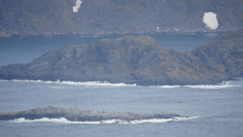 dsc00609-standard.jpg